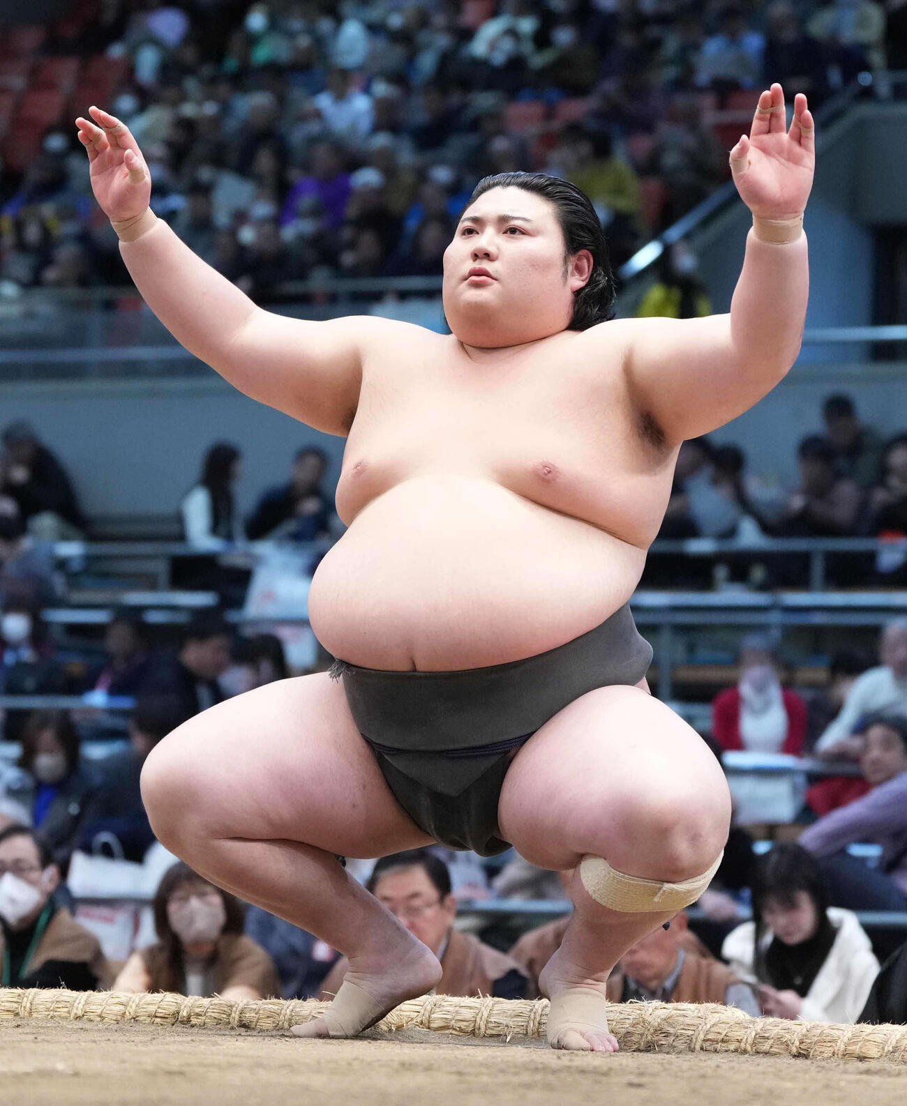大花竜（25年3月撮影）