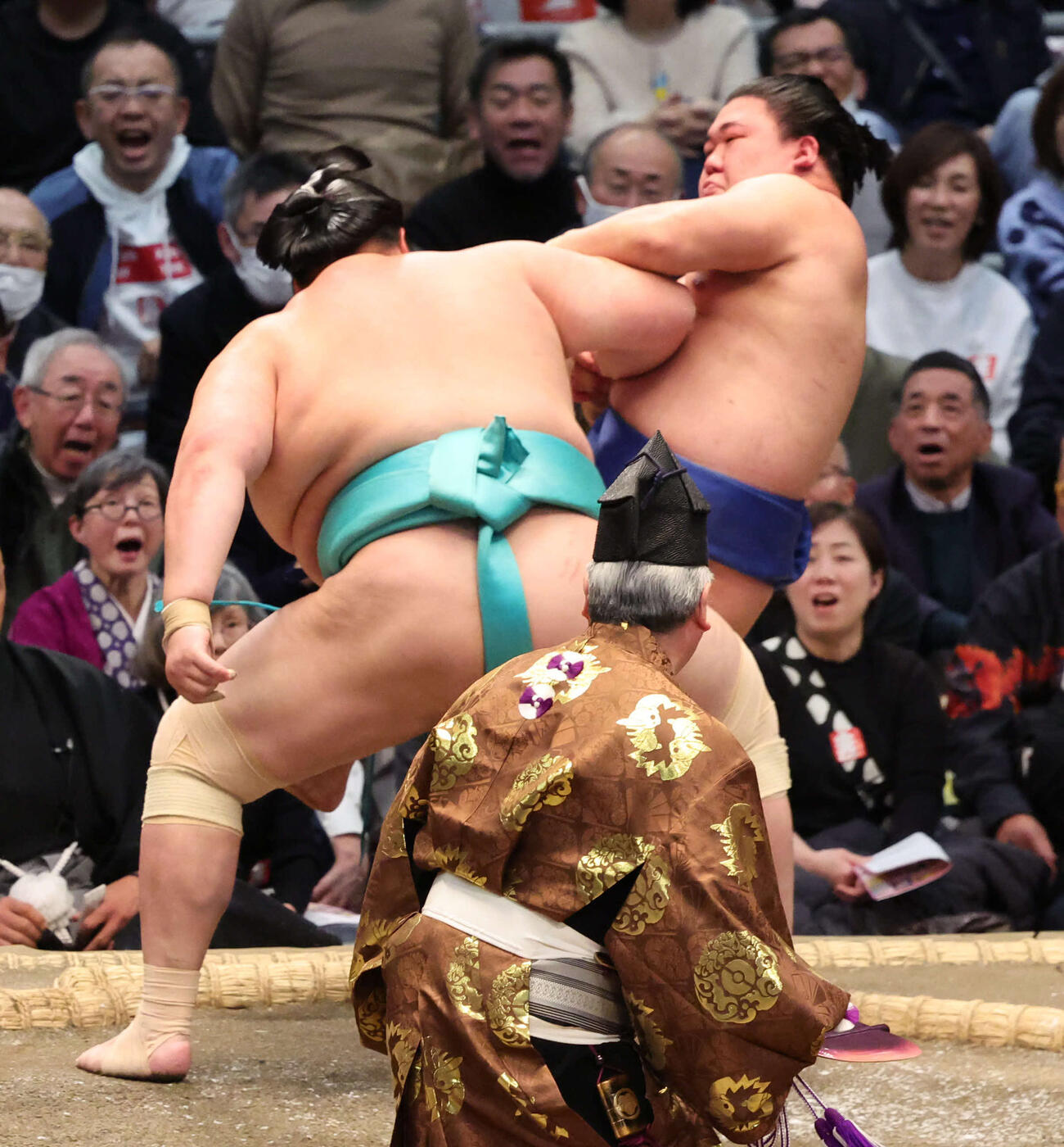 琴桜は押し倒しで藤ノ川を退けた（撮影・西尾就之）