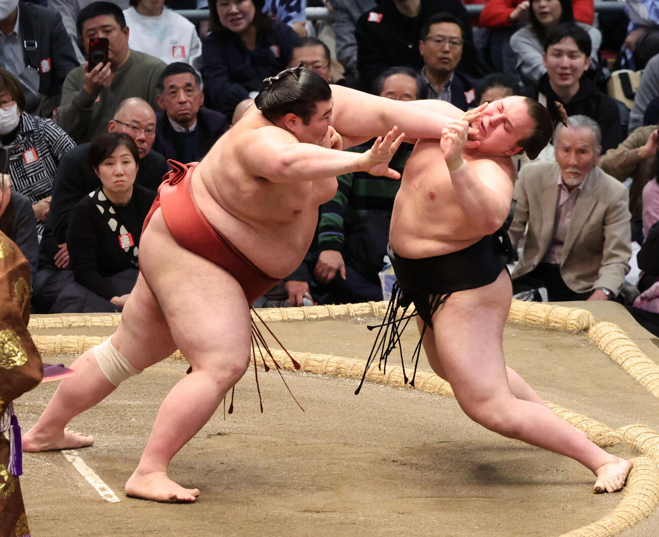 安青錦は熱海富士の突きをのけぞって耐えたが、結局上手投げで敗れた（撮影・西尾就之）