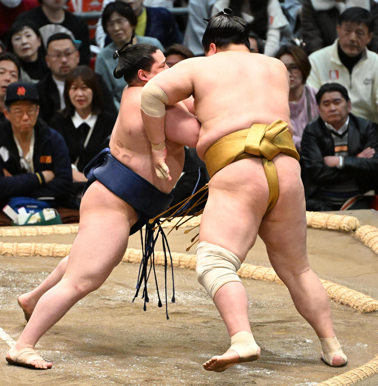 若ノ勝（左）は押し出しで輝を下す（撮影・石井愛子）