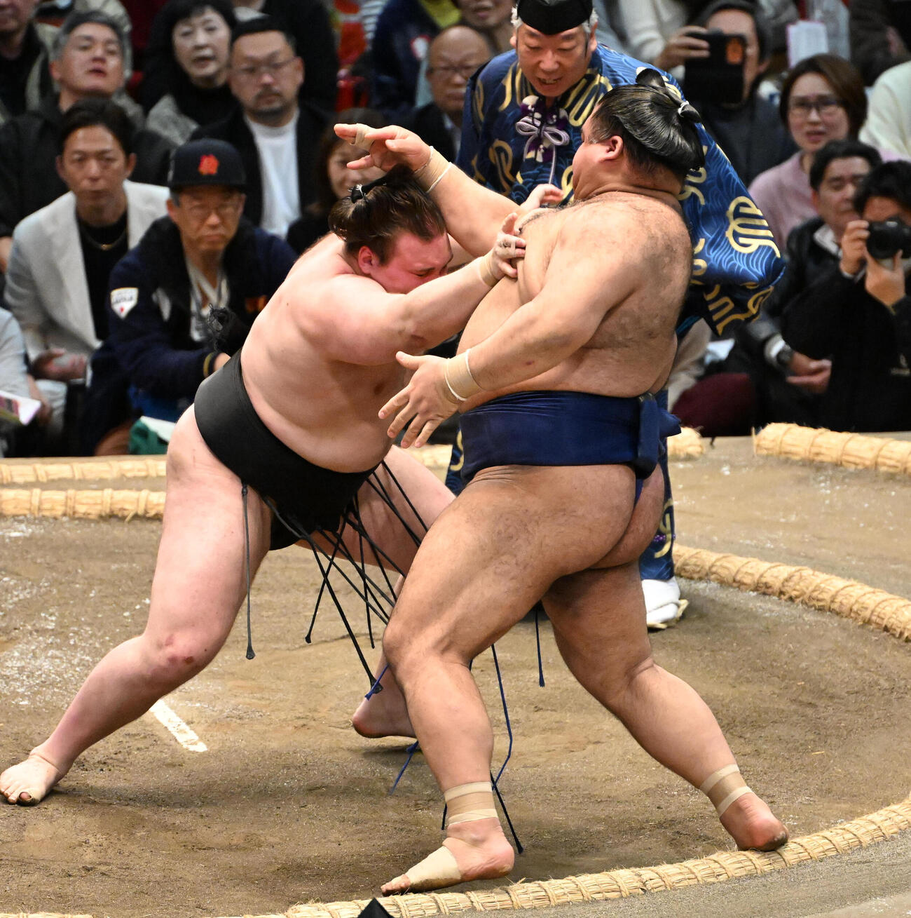 安青錦（左）は押し出しで高安を下す（撮影・石井愛子）