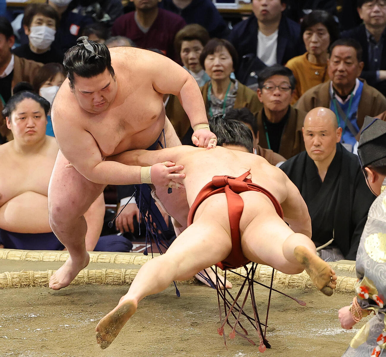 大相撲春場所10日目　朝紅龍をはたき込みで破る豪ノ山（撮影・上田博志）