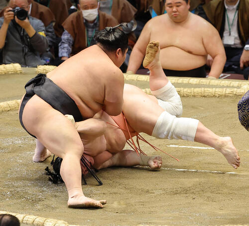 【動画】宇良、頭から土俵へ　熱戦も伯乃富士に敗れる