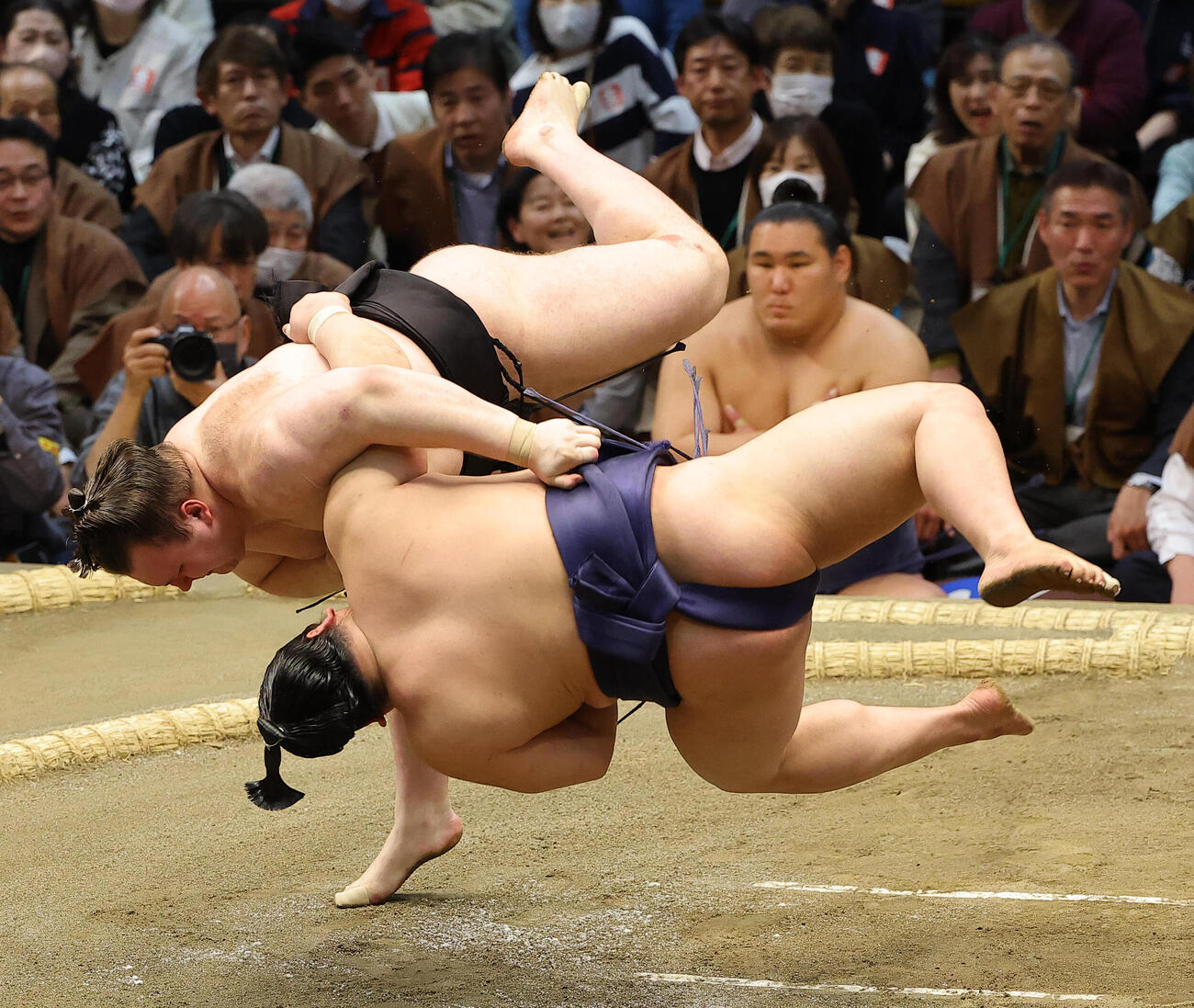 大相撲春場所10日目　安青錦（左）は平戸海を上手投げで破る（撮影・上田博志）