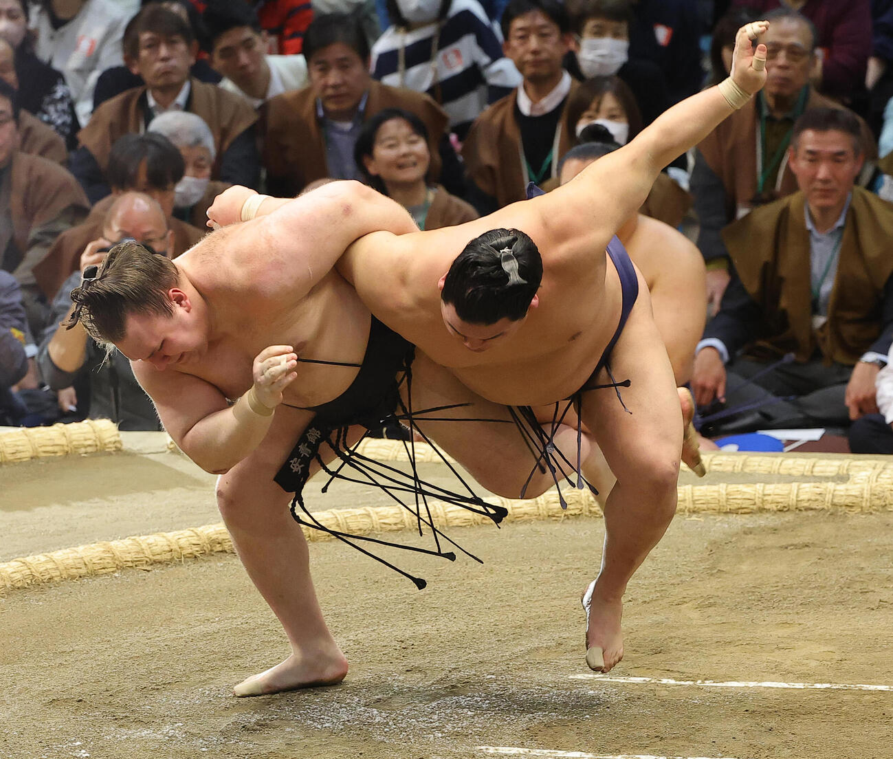 大相撲春場所10日目　安青錦（左）は平戸海を上手投げで破る（撮影・上田博志）