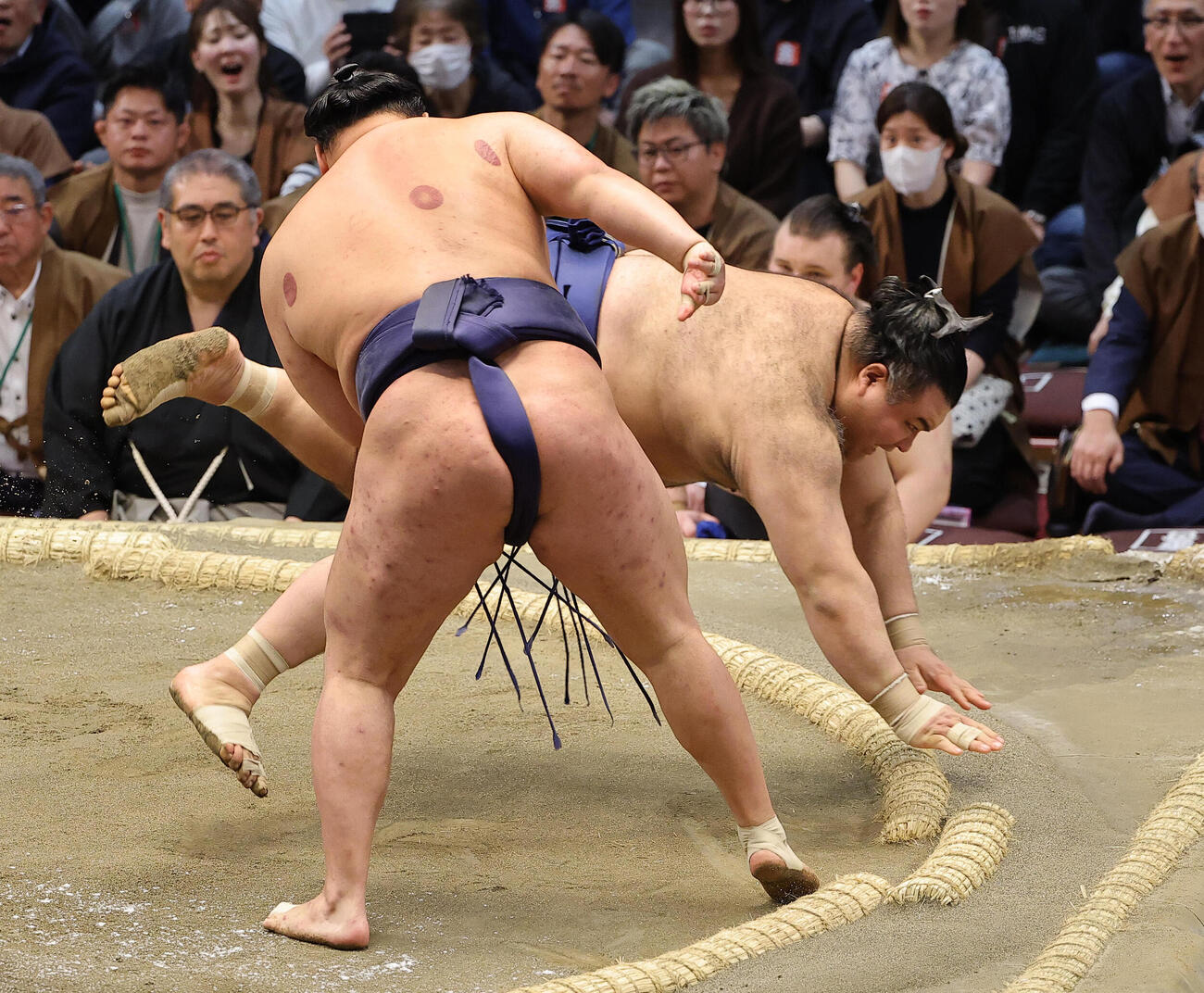 高安は豊昇龍に引き落としで敗れる（撮影・上田博志）