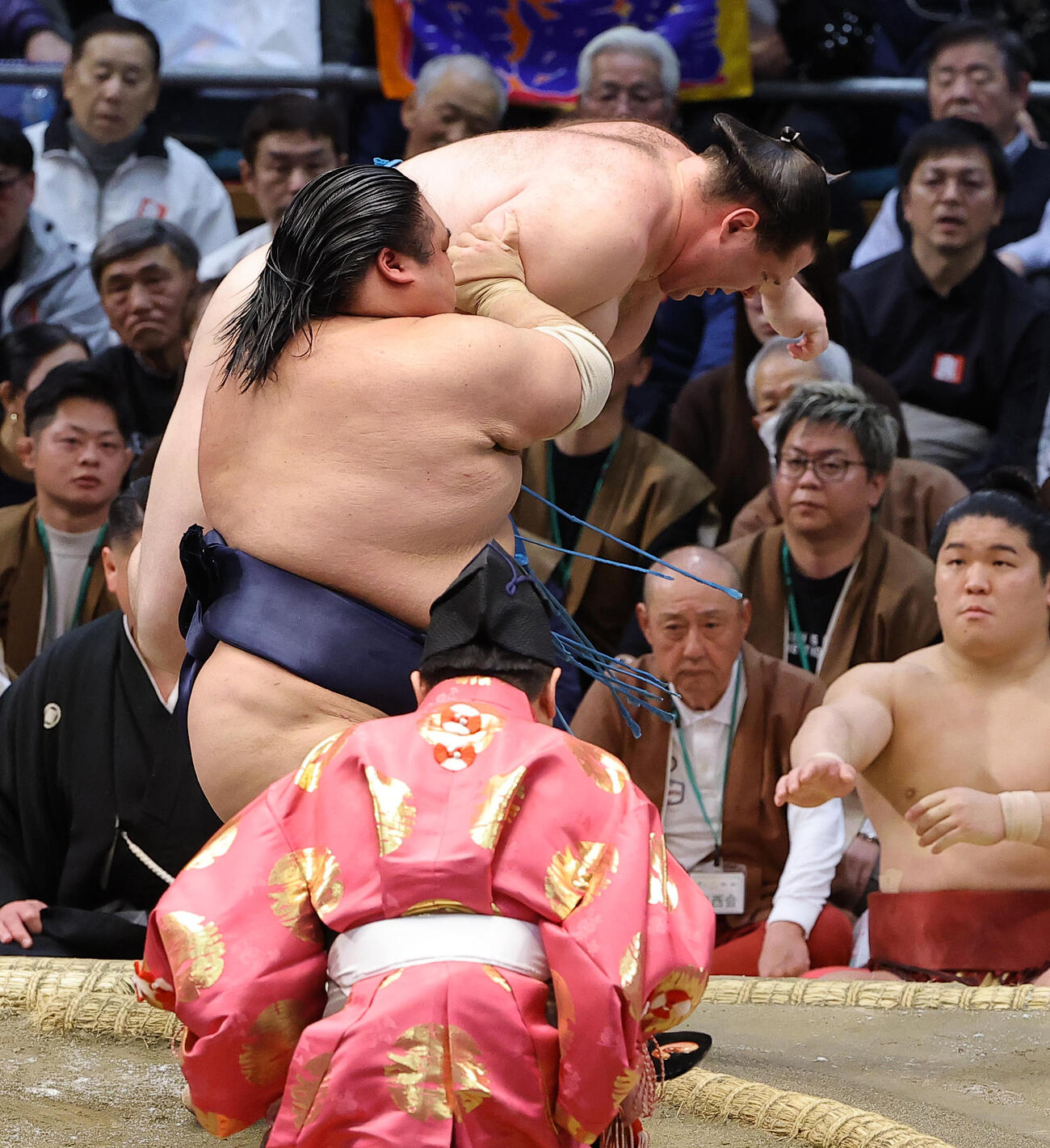 大相撲春場所11日目　獅司を寄り切りで破る藤凌駕（撮影・上田博志）
