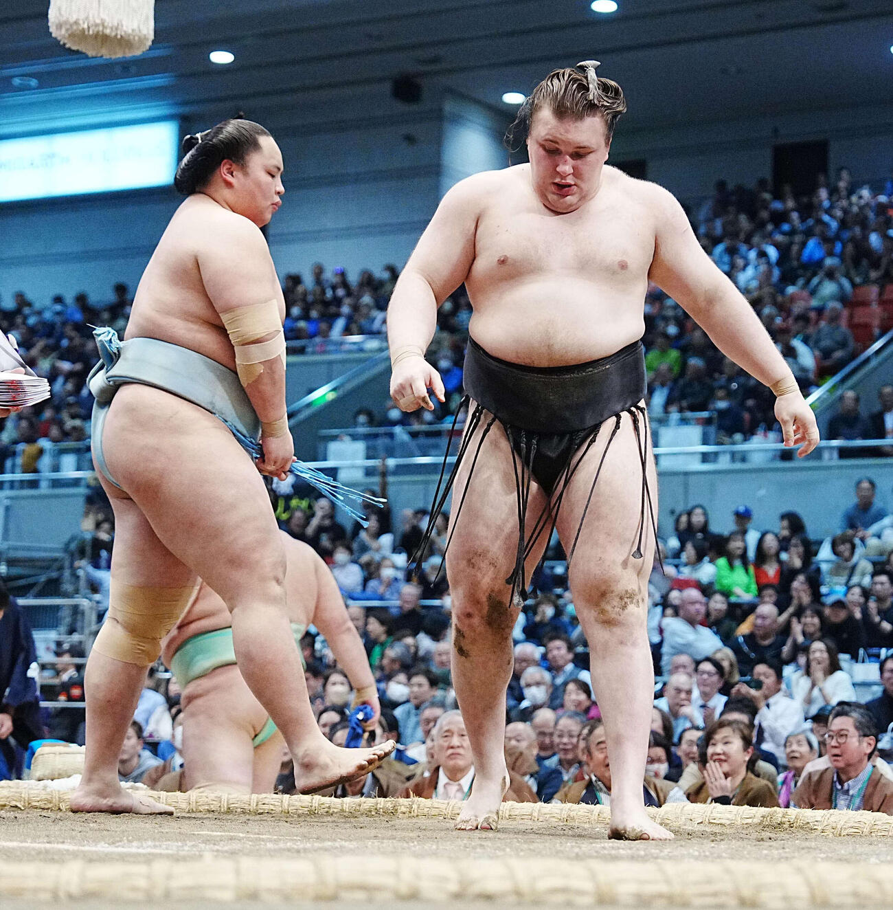 安青錦（右）は琴勝峰にはたき込みで敗れた（撮影・小沢裕）