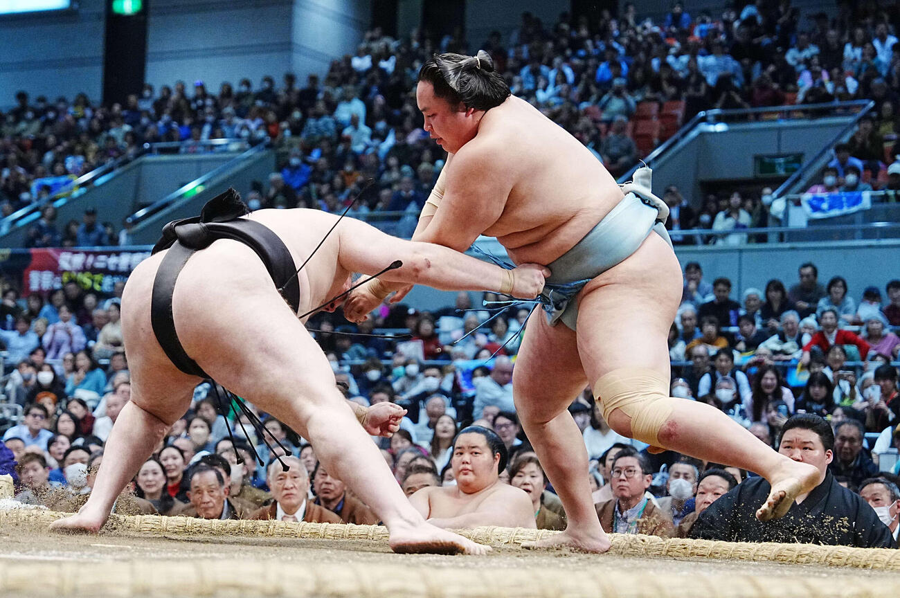 琴勝峰は安青錦（左）をはたき込みで破る（撮影・小沢裕）