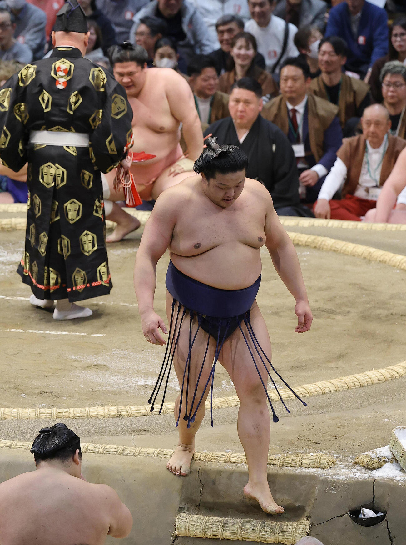 宇良に寄り切りで敗れた朝白龍（撮影・上田博志）