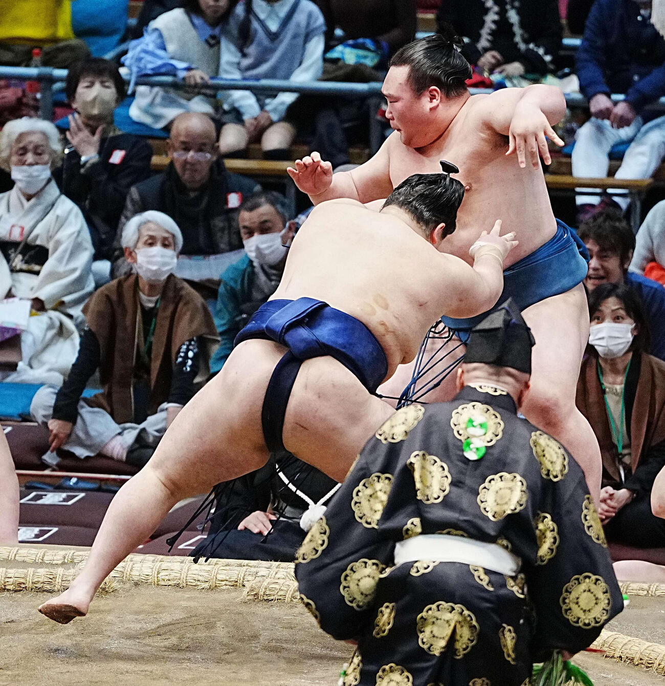 若ノ勝（左）は白熊を突き出しで下す（撮影・小沢裕）