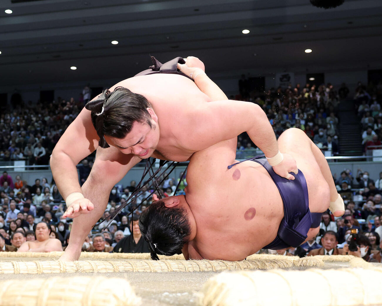 豊昇龍（右）を上手投げで破る霧島（撮影・鈴木正人）　