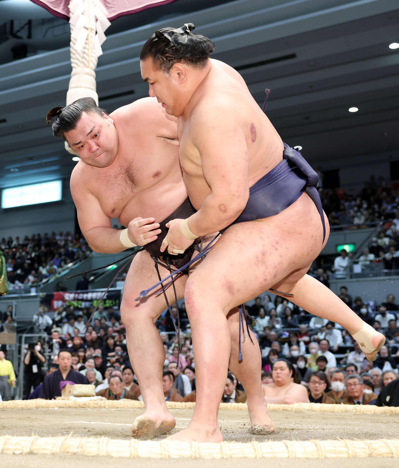 豊昇龍（右）を攻める霧島（撮影・鈴木正人）　