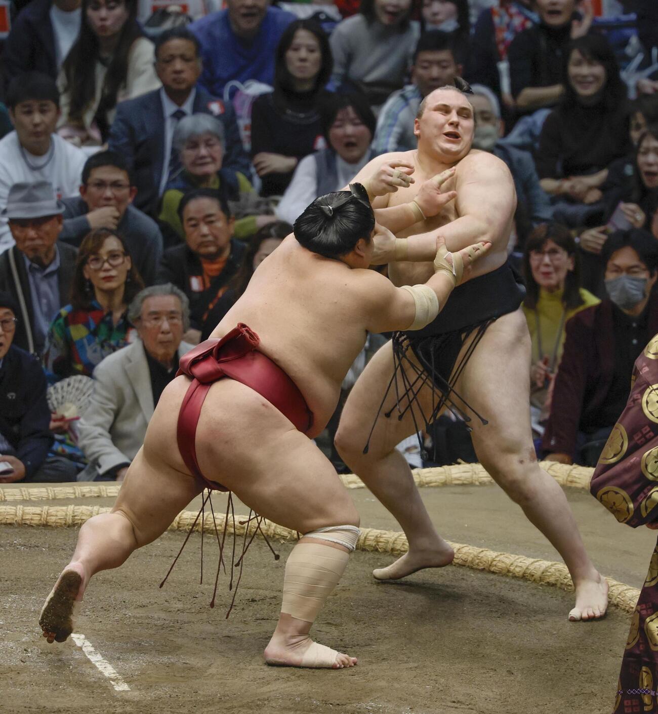 安青錦（奥）が突き倒しで大栄翔に敗れる（共同）