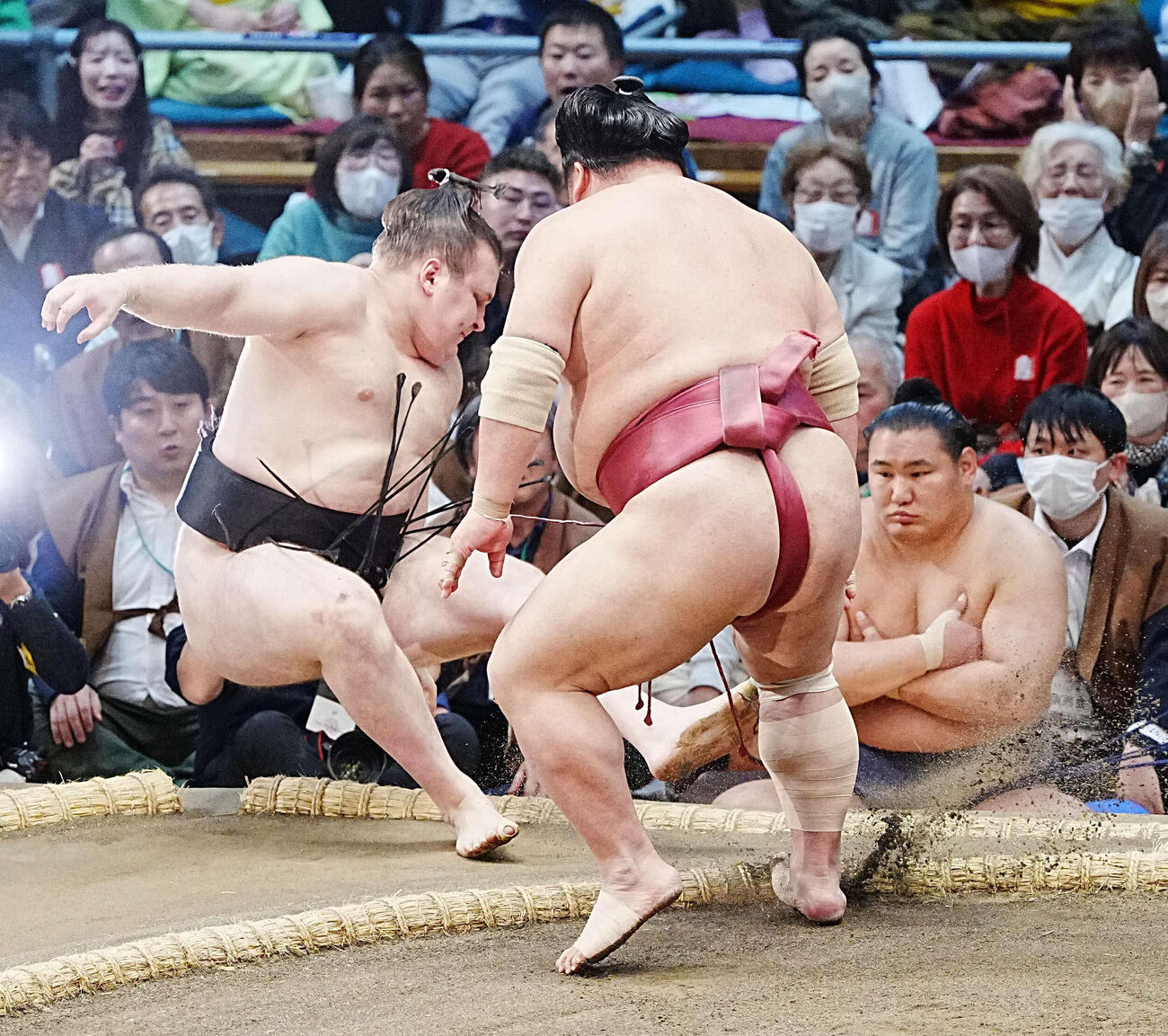安青錦（左）は大栄翔に突き倒しで敗れ7敗目を喫した。右は土俵下控えの豊昇龍（撮影・小沢裕）