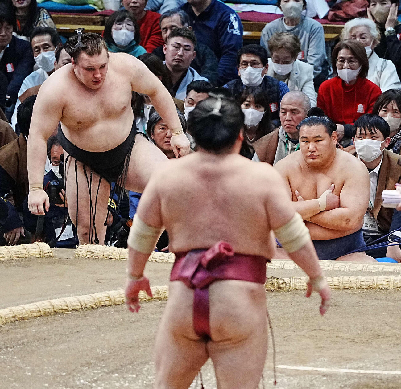 安青錦は大栄翔（手前）に突き倒され7敗目を喫した。右は土俵下控えの豊昇龍（撮影・小沢裕）