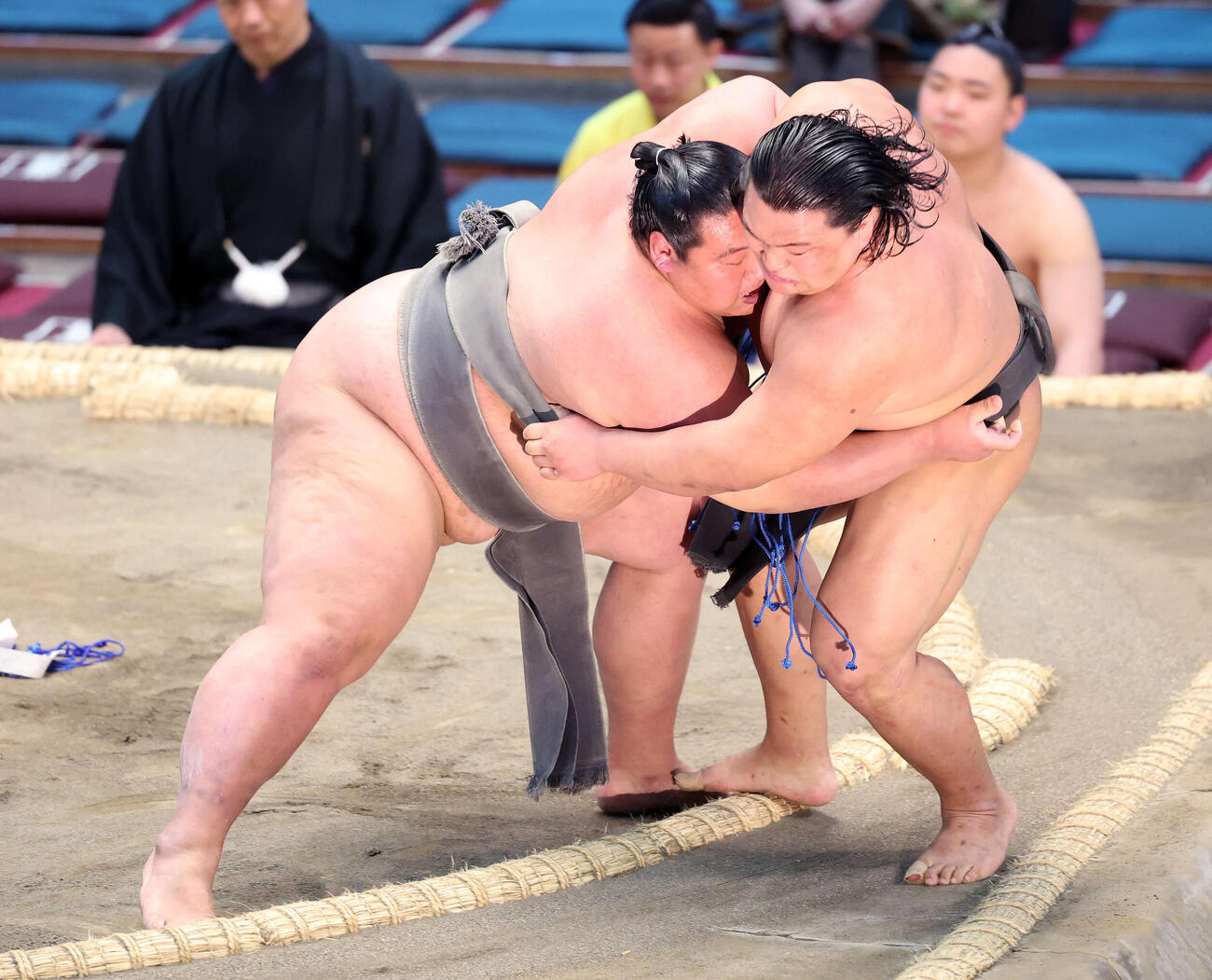 行徳（右）を寄り切りで破る豊雅将（撮影・鈴木正人）　