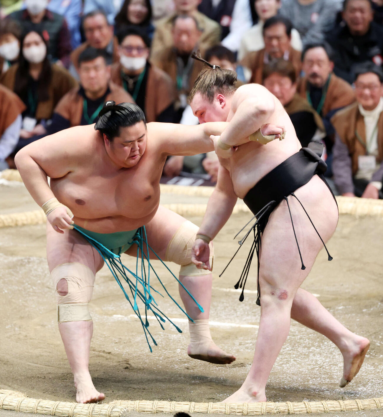 琴桜（左）を攻める安青錦（撮影・鈴木正人）　
