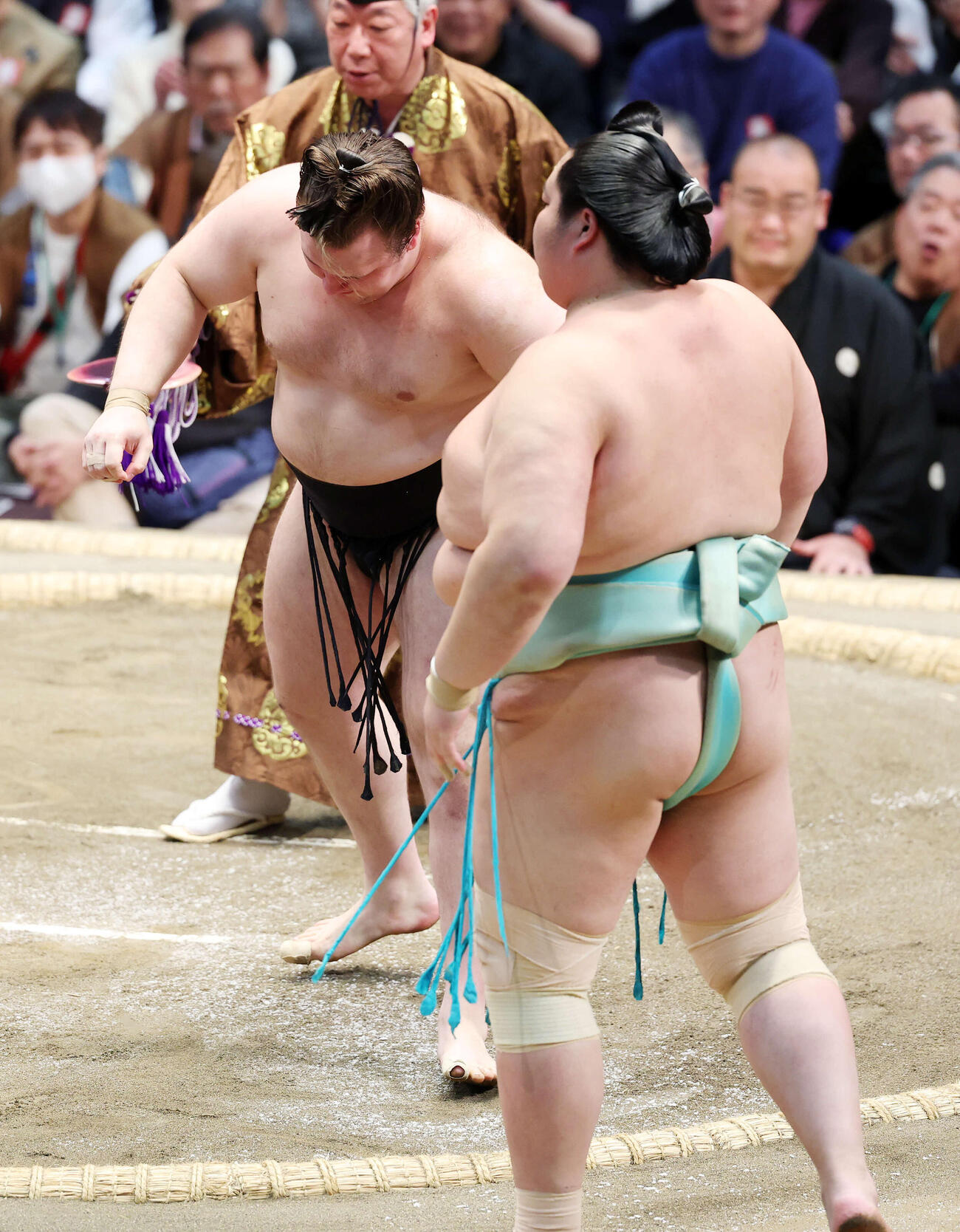琴桜（右）を寄り切りで破った安青錦（撮影・鈴木正人）　