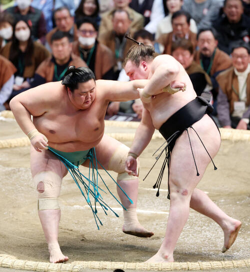 安青錦、琴桜に勝利　序ノ口デビュー以来15場所連続勝ち越しの可能性残す　14日目は霧島戦