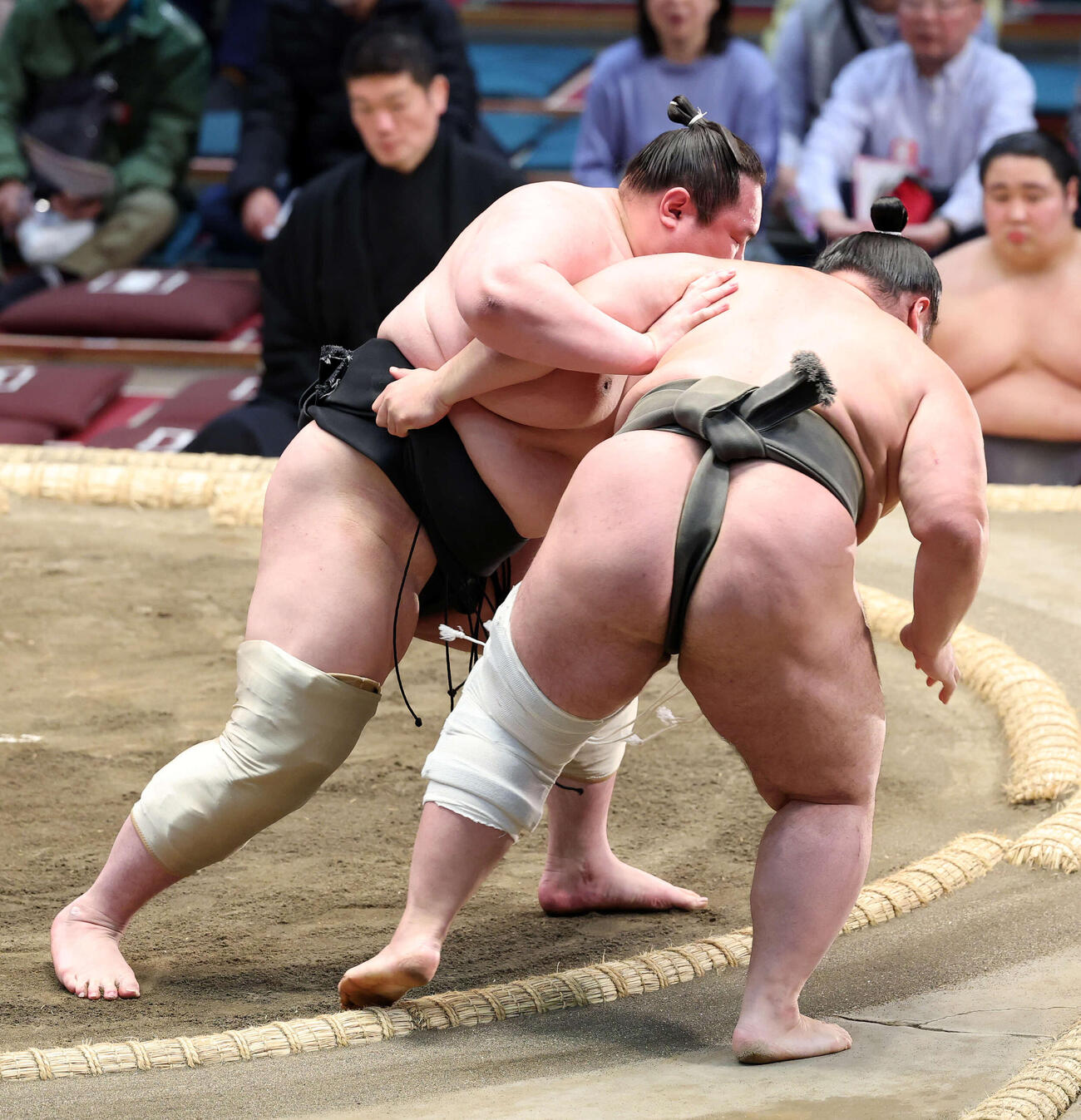 貴健斗（右）を寄り切りで破る白鷹山（撮影・鈴木正人）　