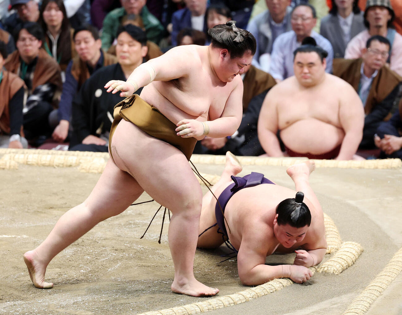 義ノ富士（右）を突き落としで破る王鵬（撮影・鈴木正人）　