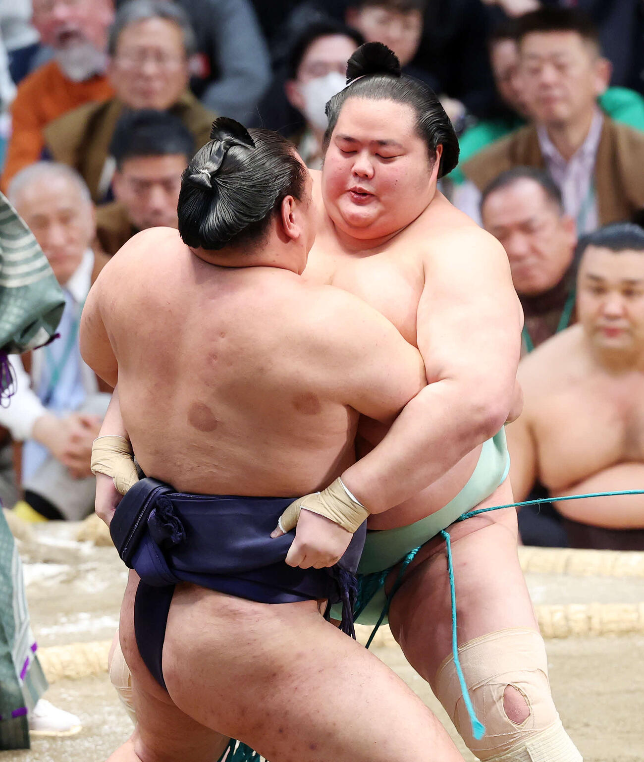 豊昇龍（左）を攻める琴桜（撮影・鈴木正人）　