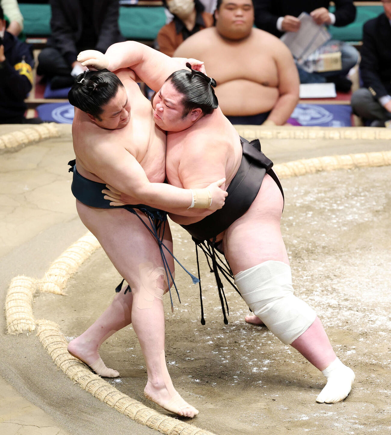 初場所12日目佐田の海（左）を寄り切りで破る剣翔