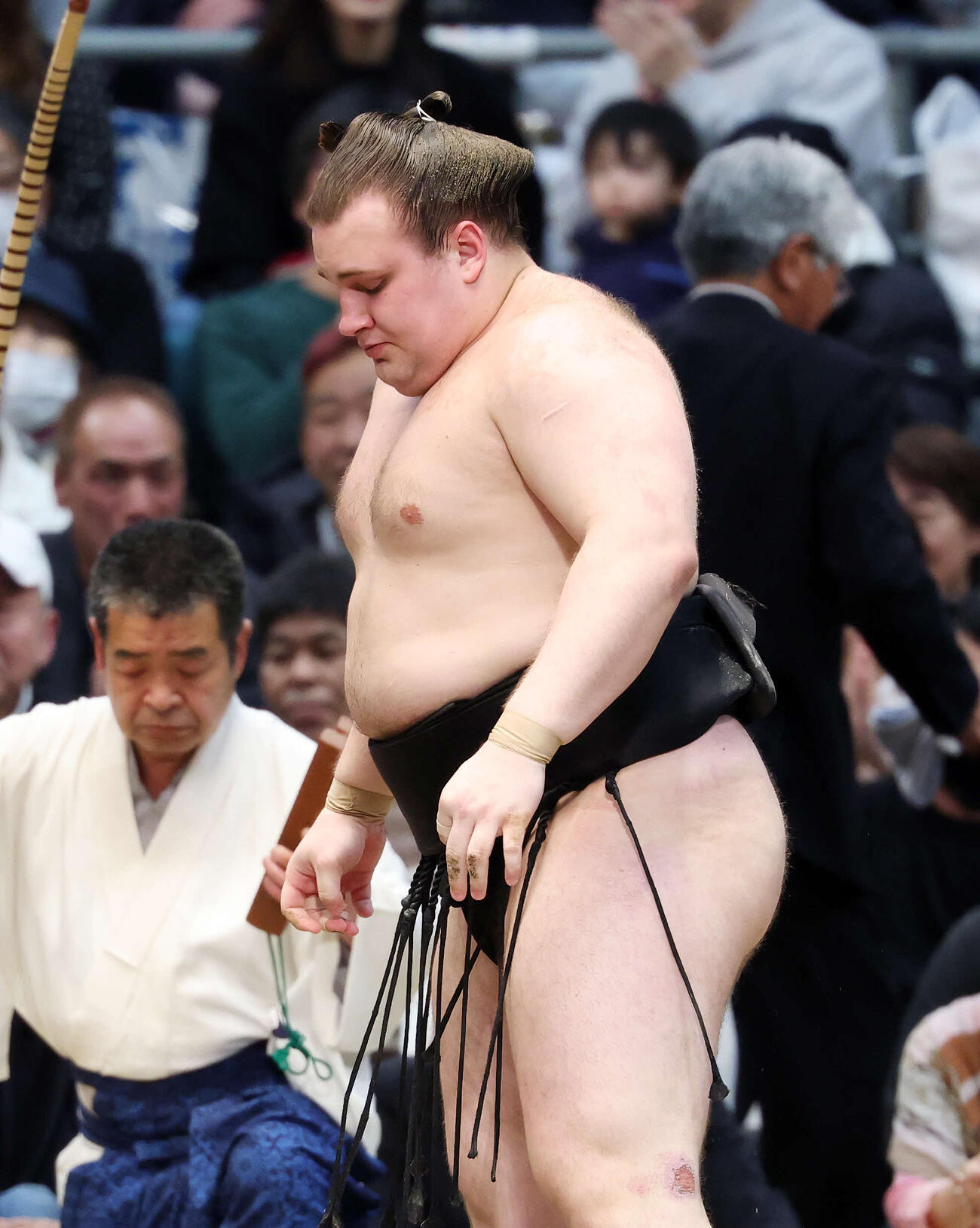 豊昇龍に掛け投げで敗れた安青錦（撮影・鈴木正人）　
