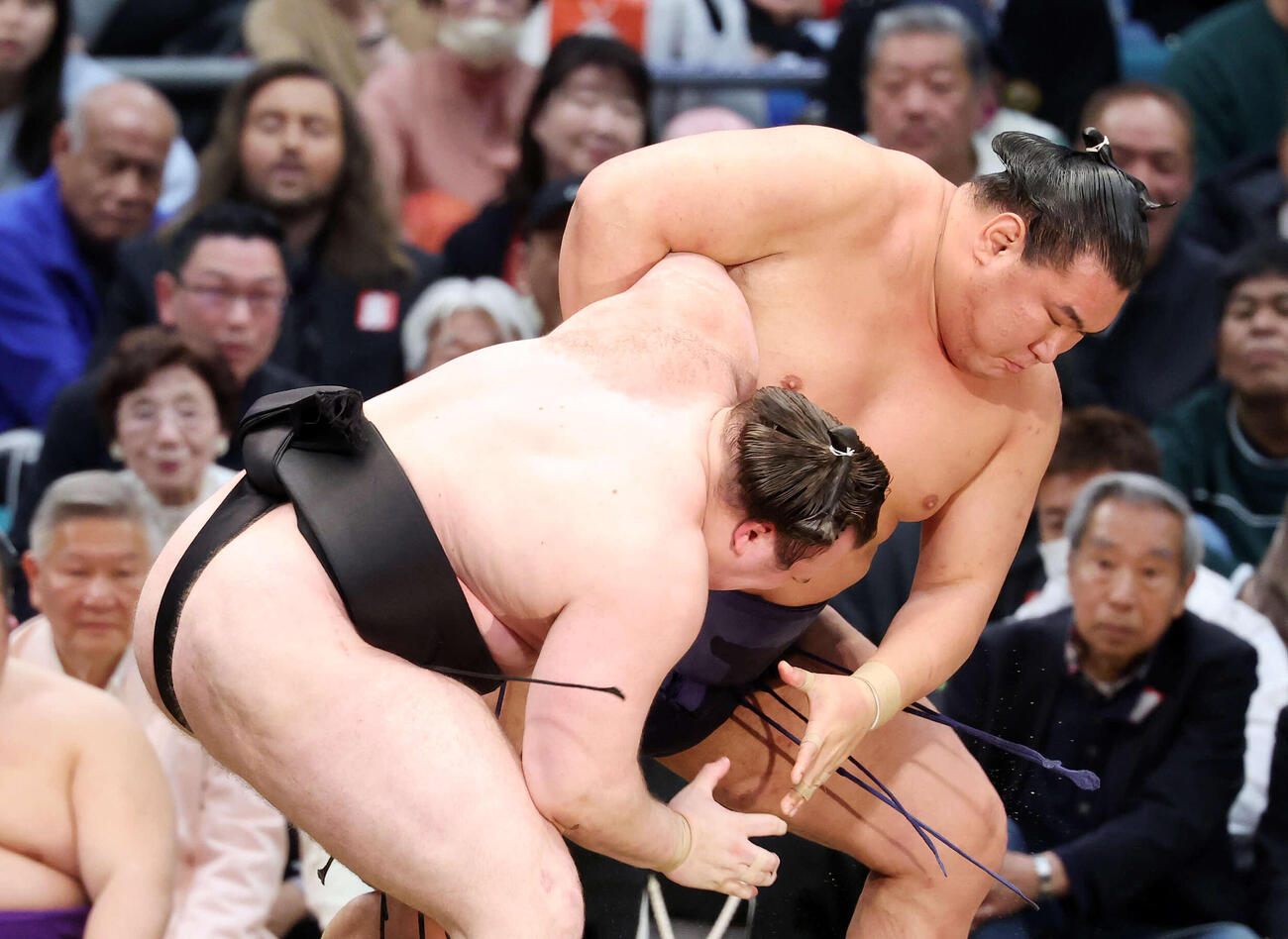 安青錦（左）を攻める豊昇龍（撮影・鈴木正人）　
