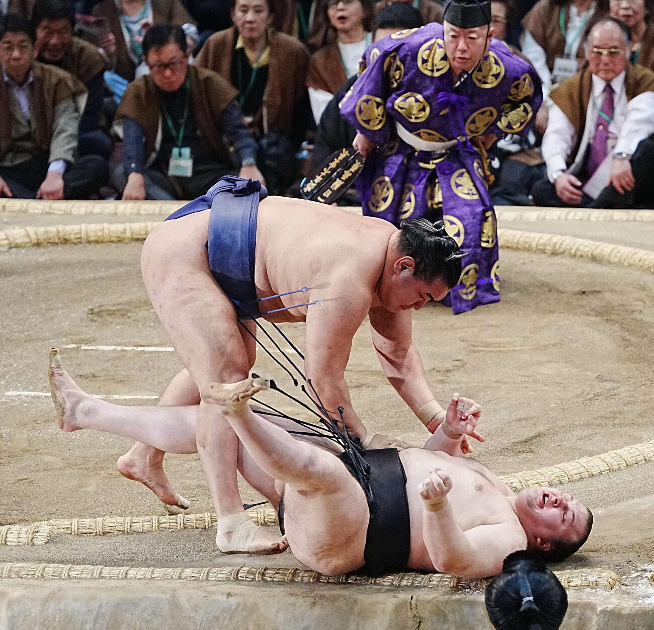 安青錦（下）は掛け投げで豊昇龍に敗れ来場所の角番が決まった（撮影・小沢裕）