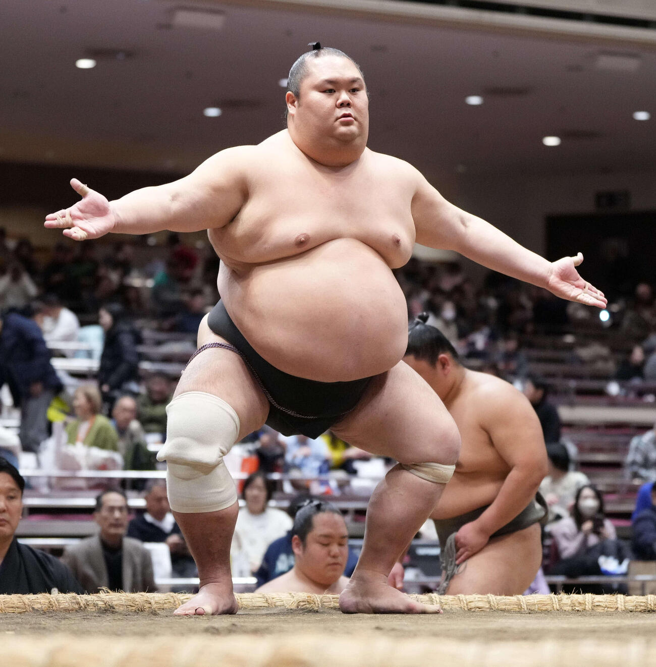 塵手水（ちりちょうず）を切る千代丸（2026年1月撮影）