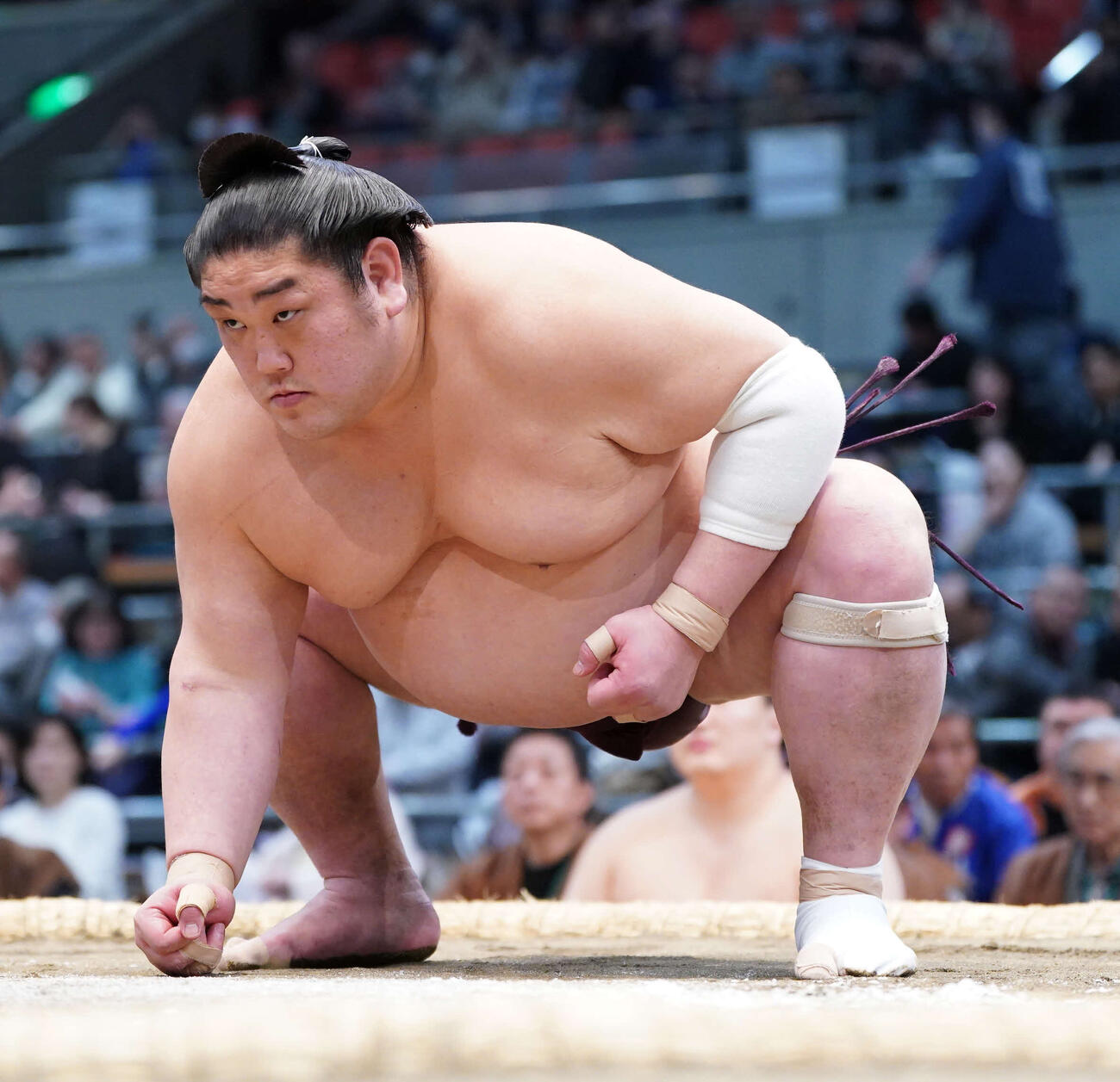 相手をにらむ千代栄（2024年3月撮影）