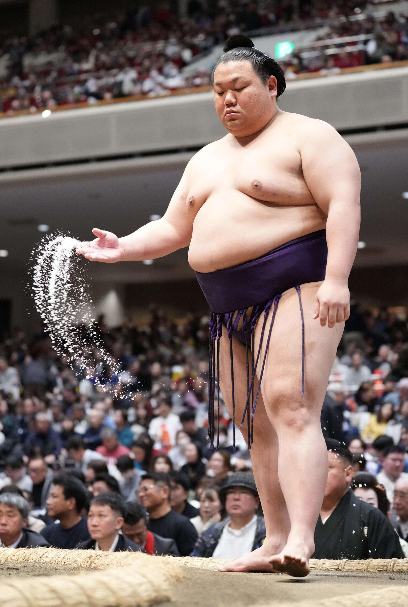 美ノ海（2026年1月撮影）