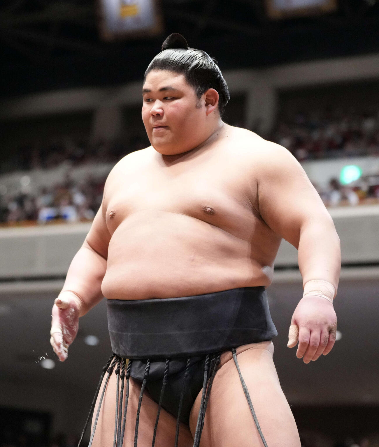 伯乃富士（2026年1月撮影）