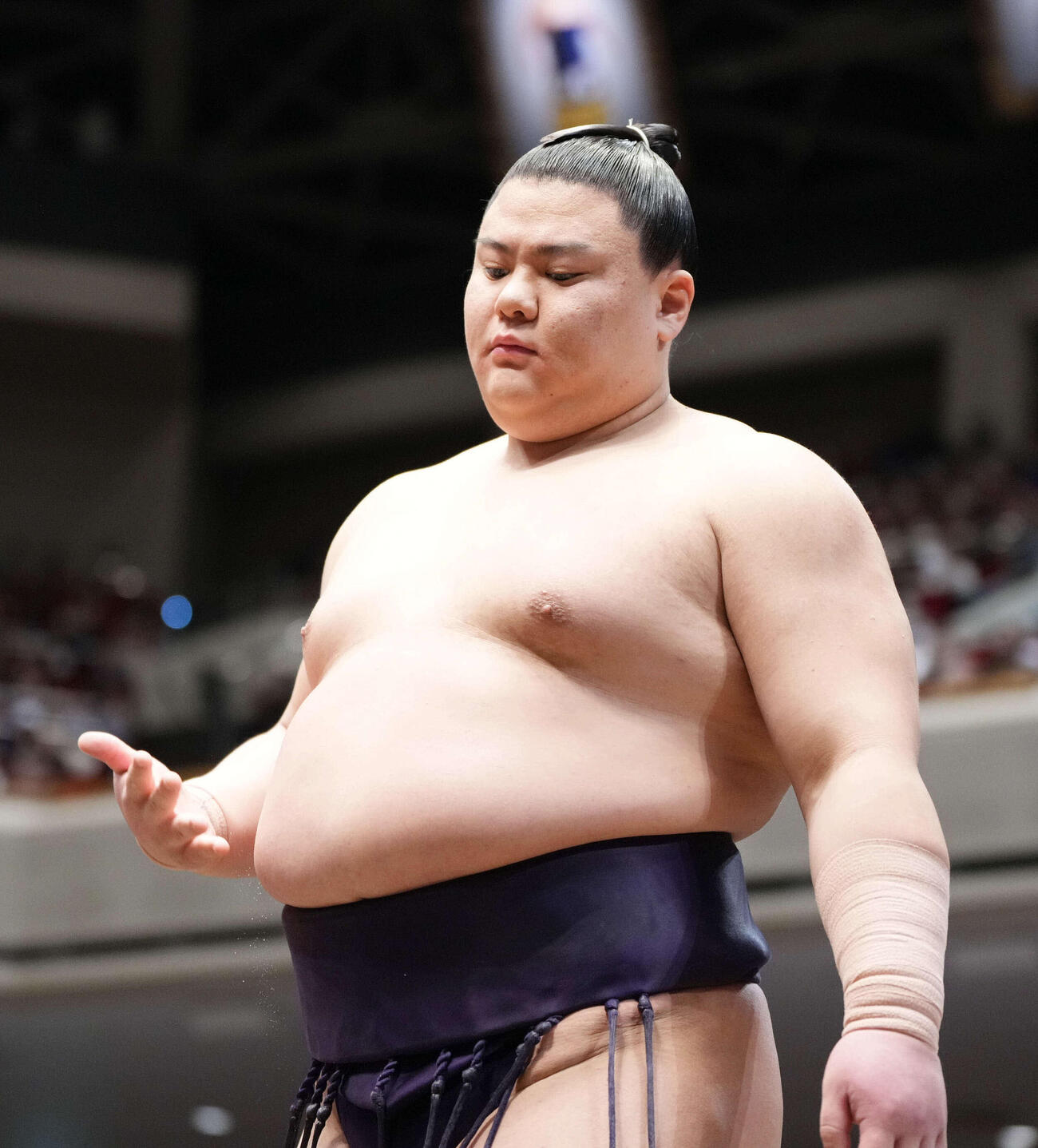 義ノ富士（2026年1月撮影）