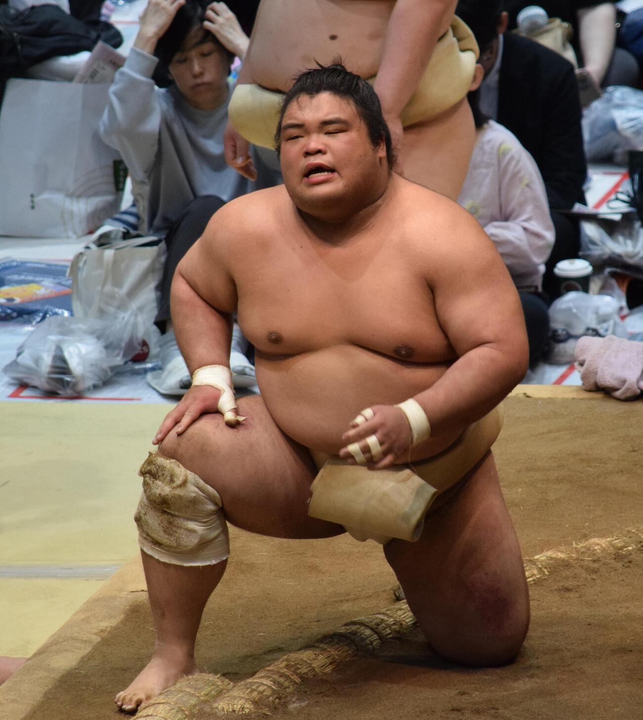 ぶつかり稽古で息を上げる藤凌駕（撮影・山田遼太郎）