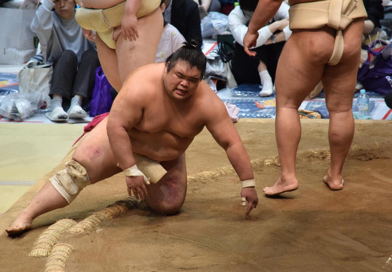 ぶつかり稽古で息を上げる藤凌駕（撮影・山田遼太郎）