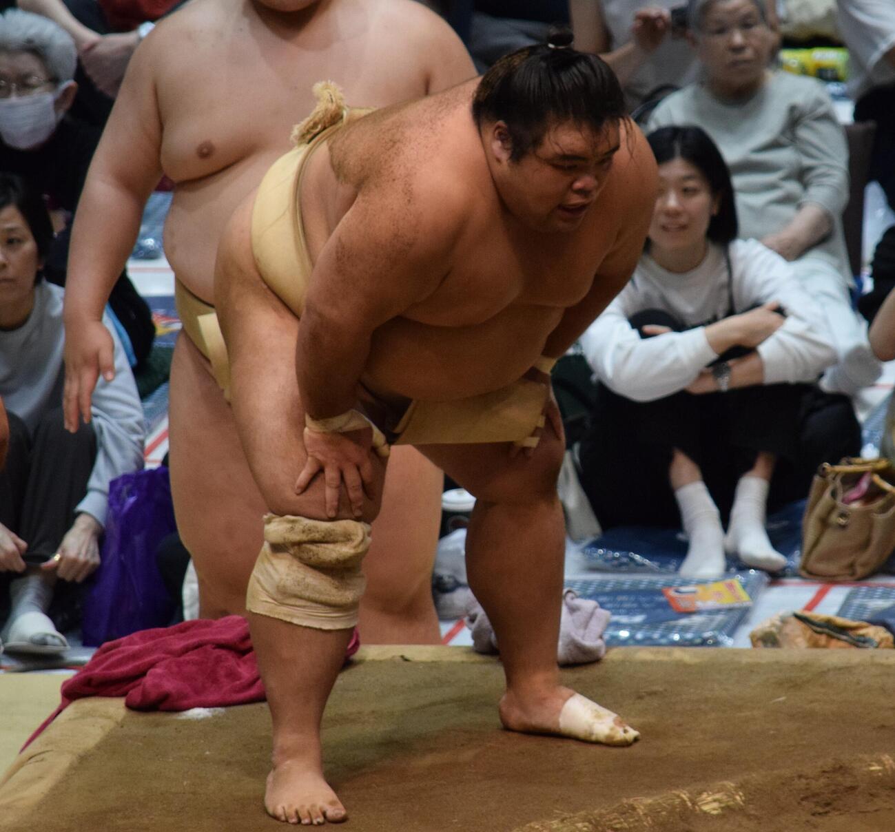 ぶつかり稽古で息を上げる藤凌駕（撮影・山田遼太郎）