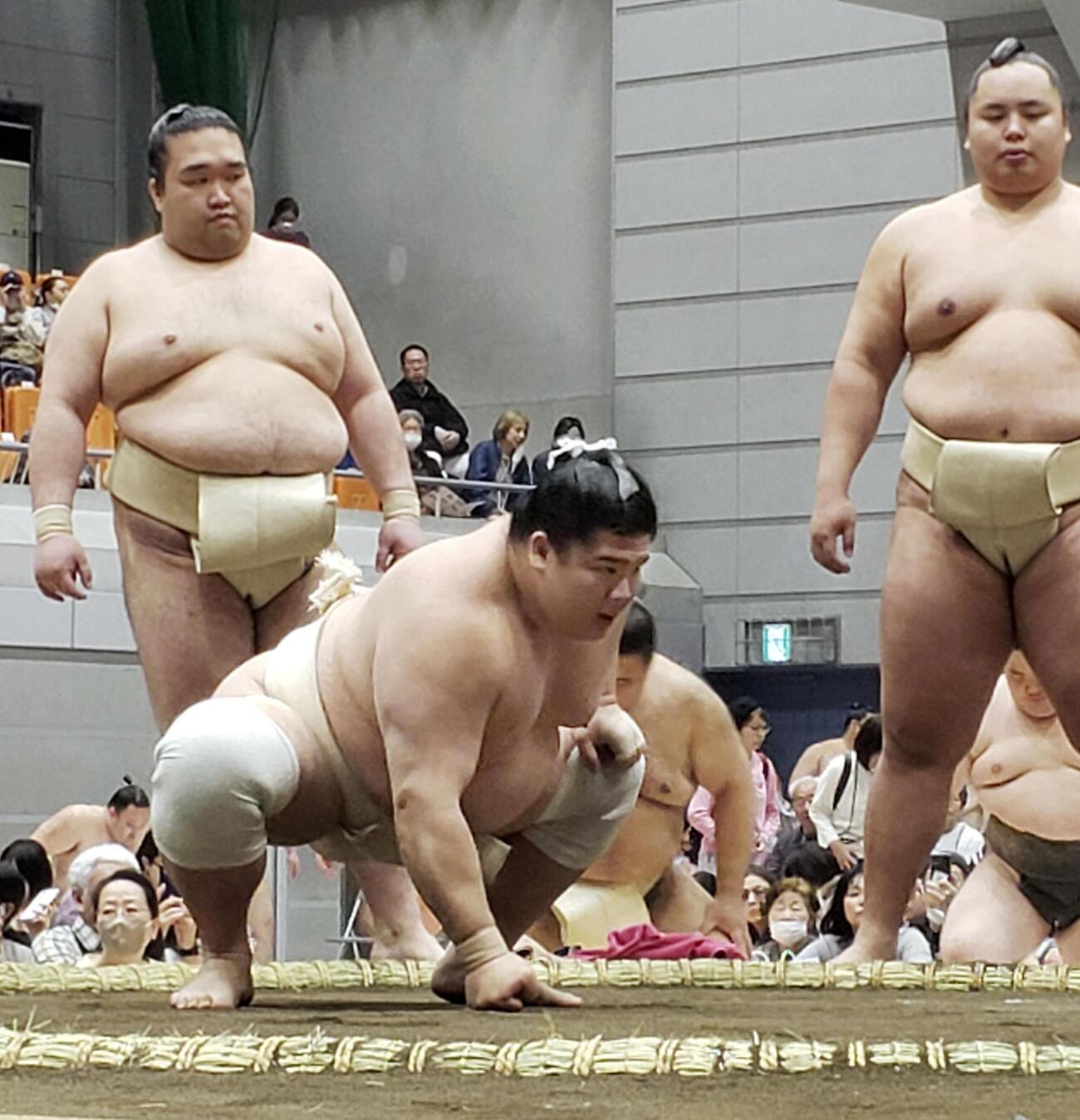 大相撲の春巡業で稽古する宇良＝東京都府中市(共同)