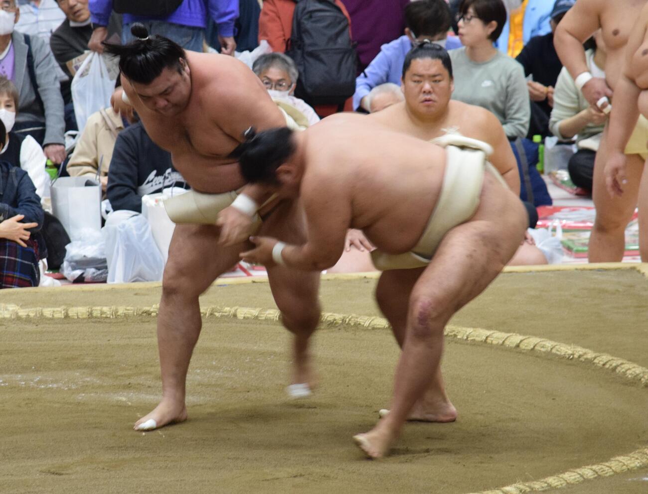 豊昇龍（右）と相撲を取る霧島（撮影・山田遼太郎）