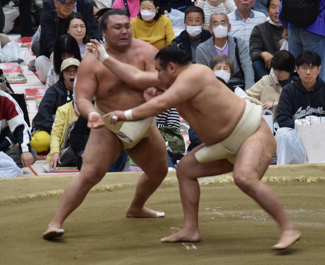 豊昇龍（右）と相撲を取る霧島（撮影・山田遼太郎）