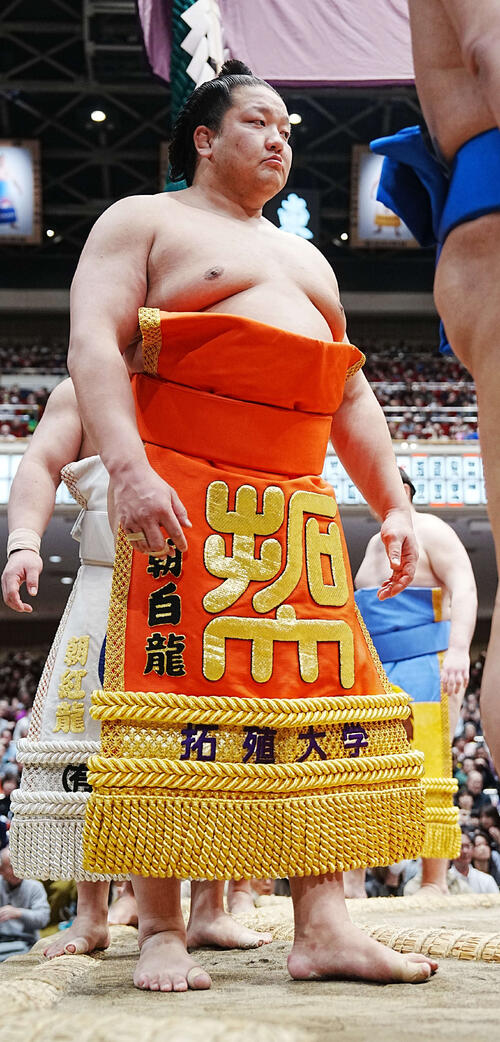 安青錦手形と番付表 安青錦 新大 - 力士プロフィール - 日本相撲協会公式サイト