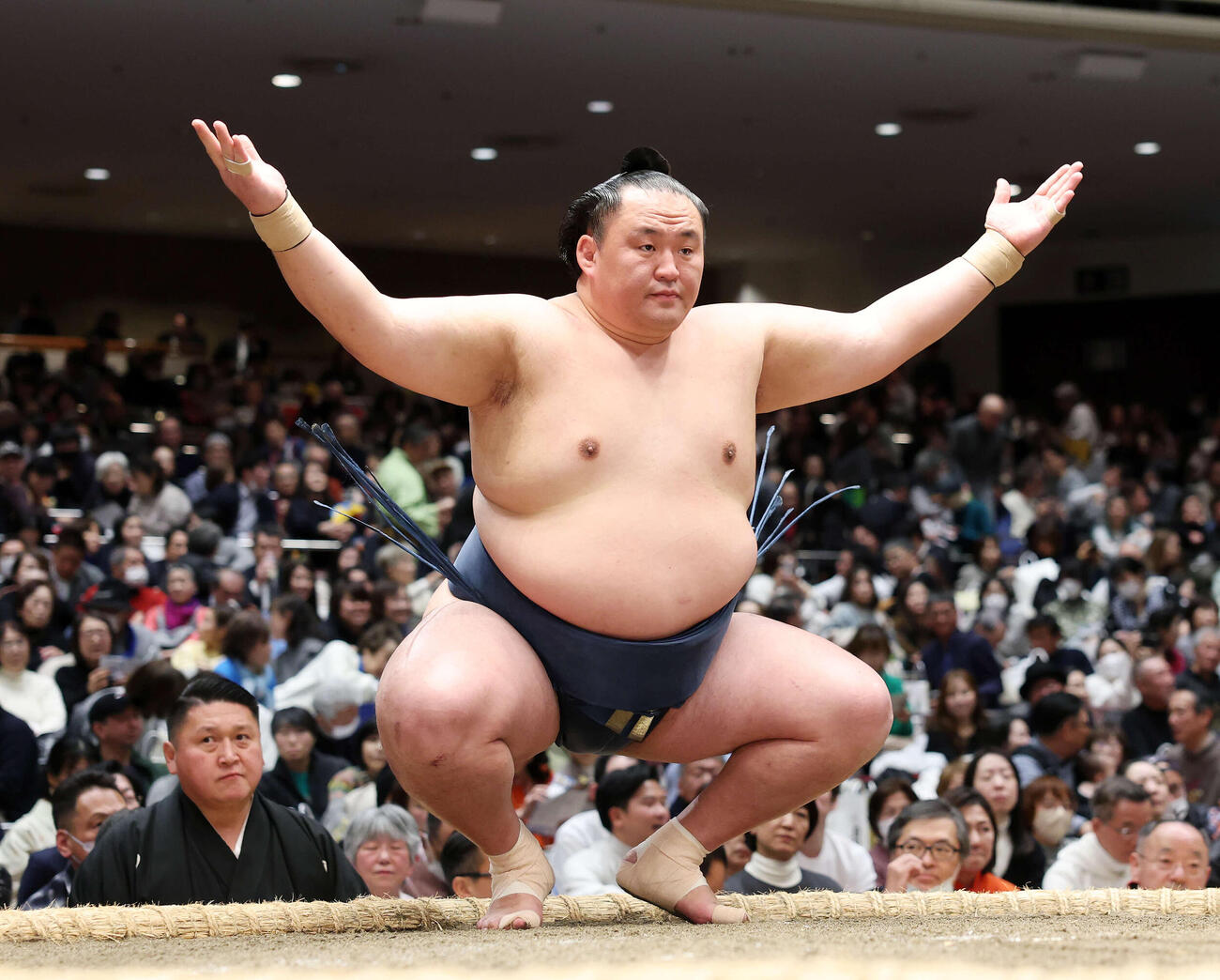 玉鷲（26年1月撮影）　