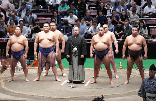 【夏場所新番付】力士数599人、増加も4場所連続600人未満…力士＆関取最多は伊勢ケ浜部屋 - 大相撲 : 日刊スポーツ