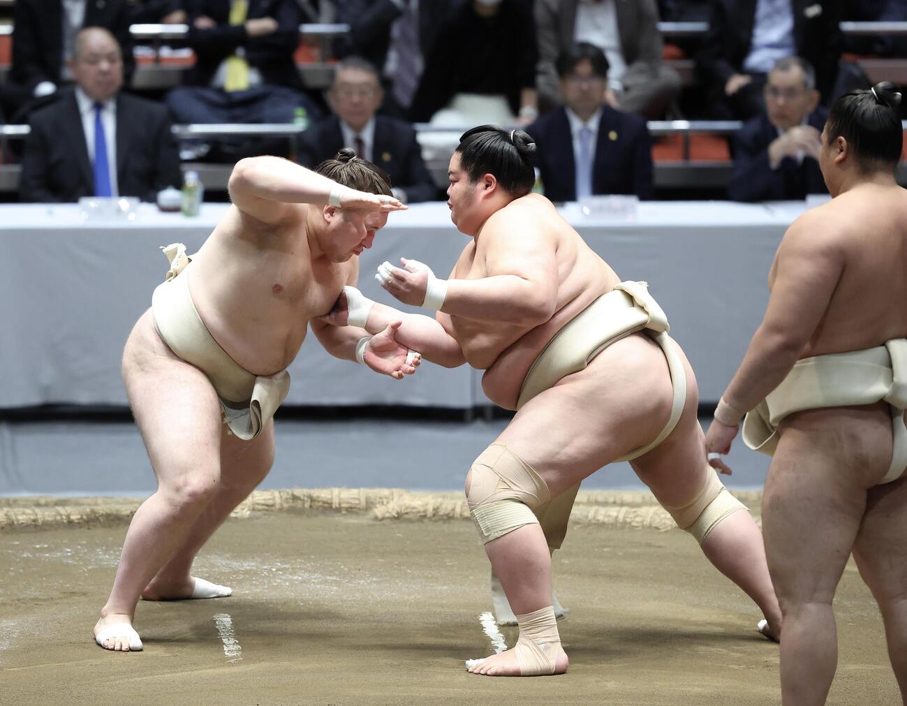 稽古する安青錦（左）と琴桜（撮影・河田真司）