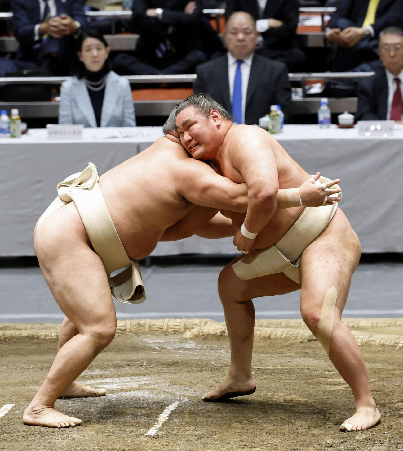 稽古総見で汗を流す豊昇龍（共同）