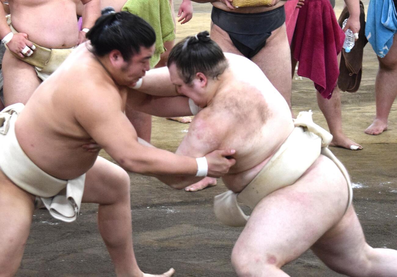 稽古を行う安青錦（右）（撮影・山田遼太郎）
