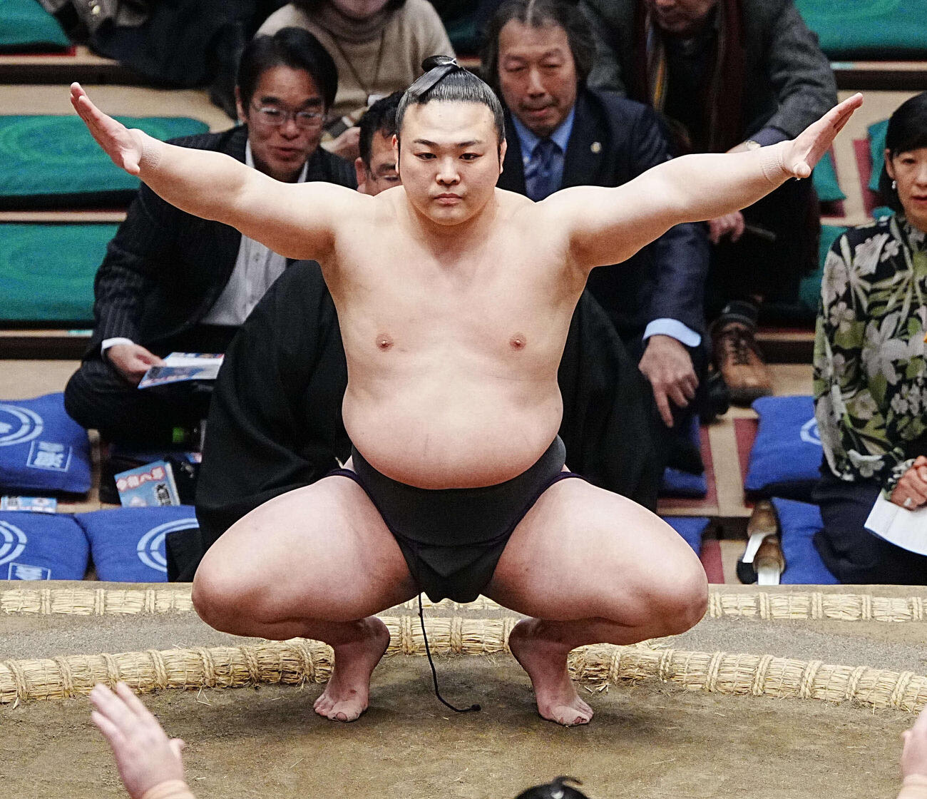 炎鵬（2026年1月撮影）