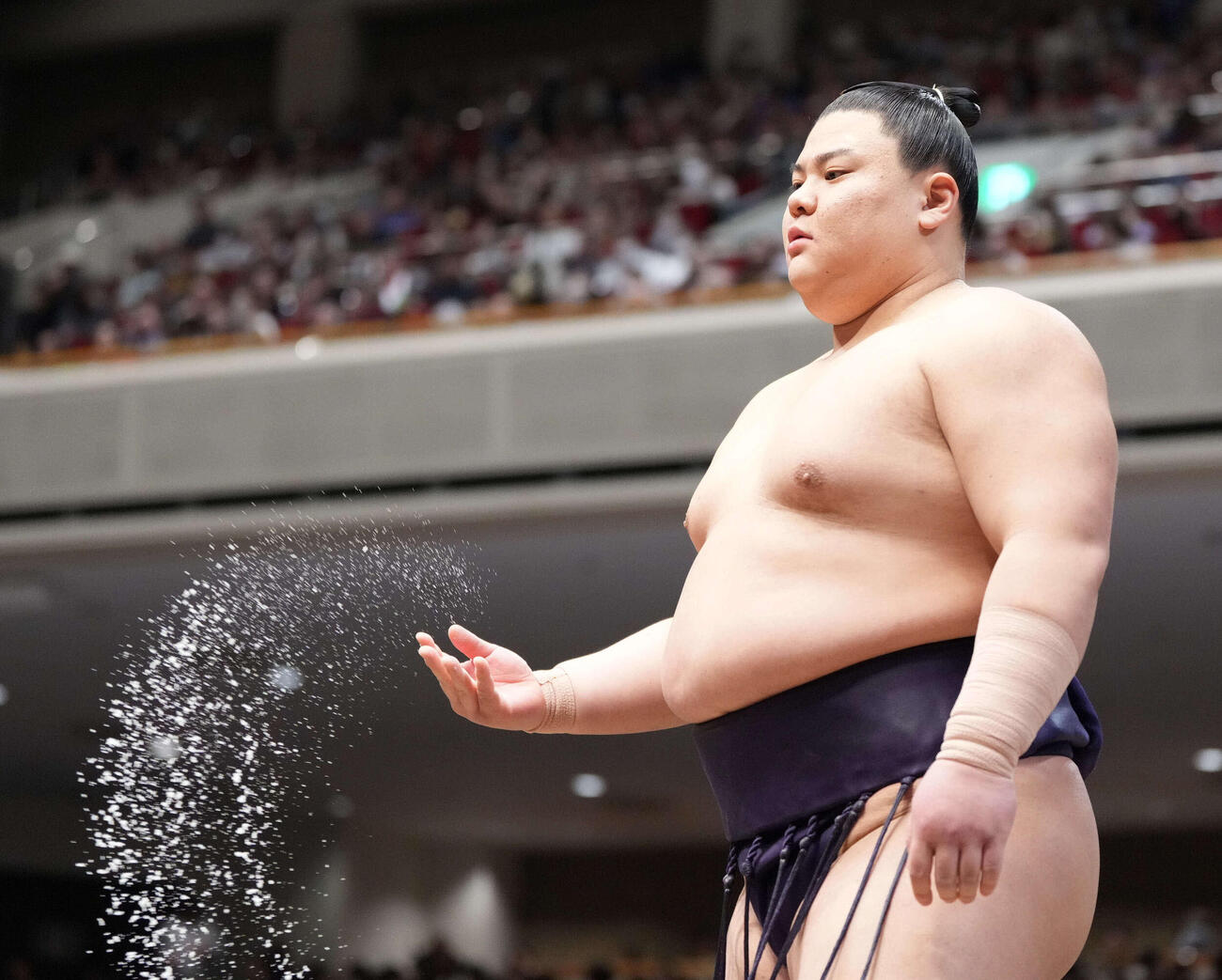 初場所での義ノ富士（2026年1月撮影）